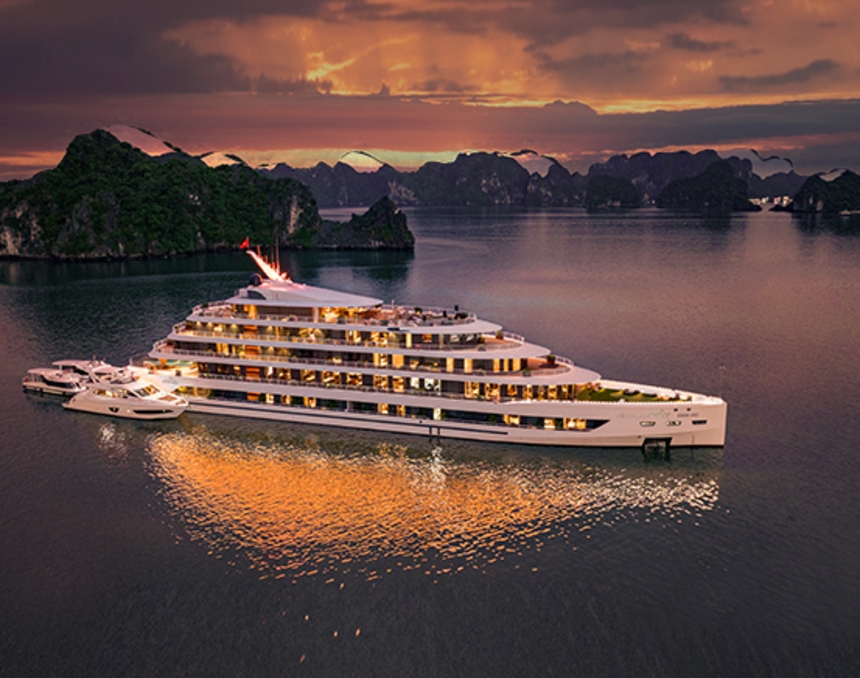 Sea stars Cruise