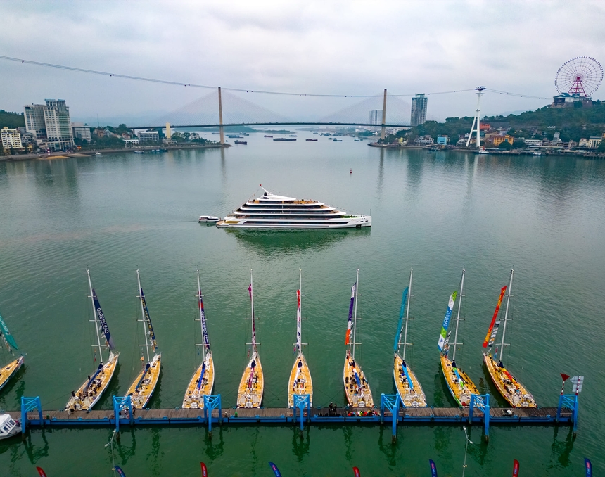SEA STARS HOTEL AND CRUISE HA LONG ĐỒNG HÀNH CÙNG CLIPPER RACE 2024