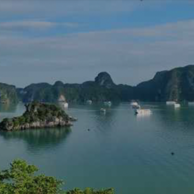 1DAYs - HA LONG STREET FOOD TOUR