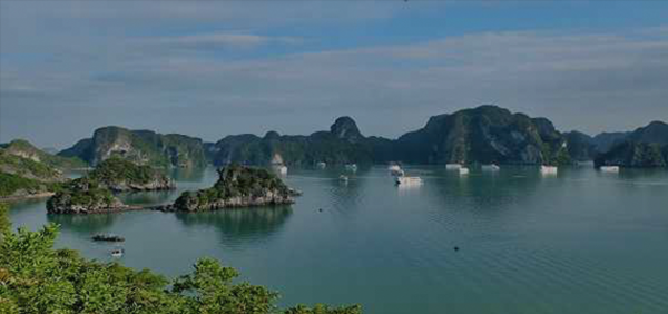 1DAYs - HA LONG STREET FOOD TOUR