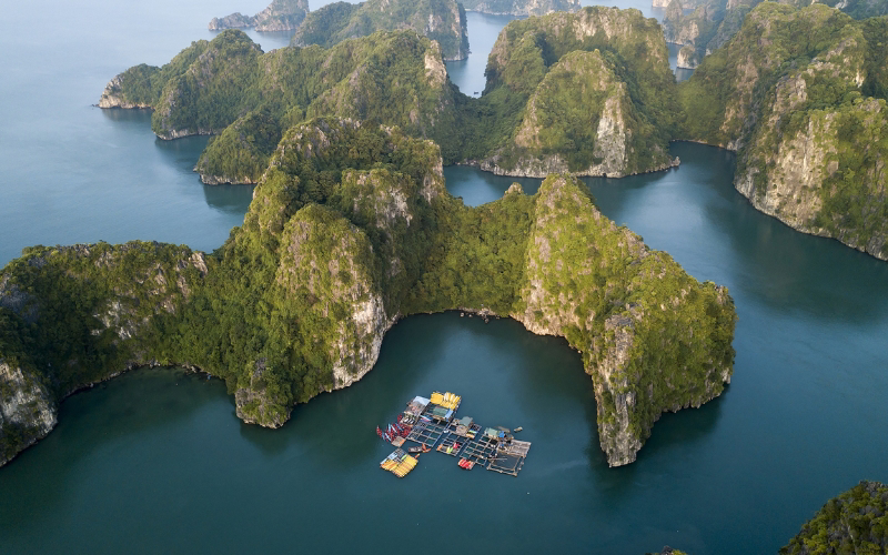 Du lịch Vịnh Hạ Long